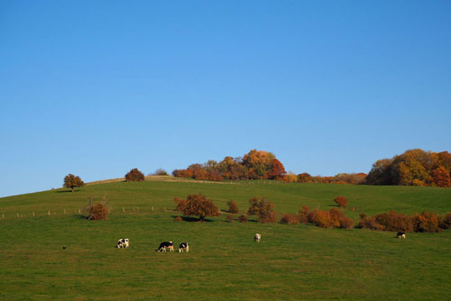 countryside